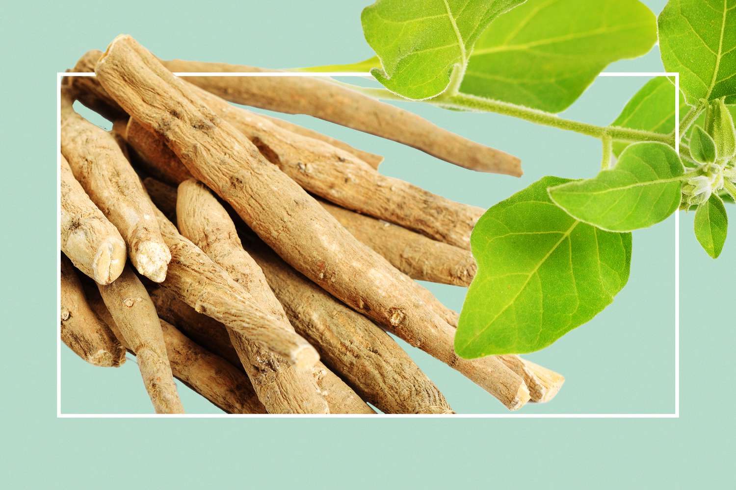 Benefits-of-Ashwagandha-GettyImages-1286731083-e6626b1014104931b94e053265f5aa2e