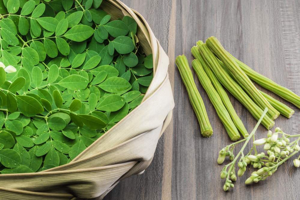 Moringa-