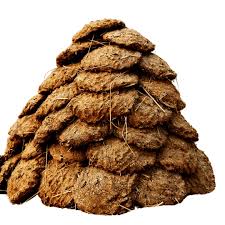 Jupiter Cosmos LL best Cow DUng